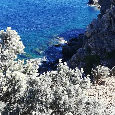 Les Palmiers, Maison Mitoyenne, Quartier Balneaire, Terrasses, Clim * Hyeres